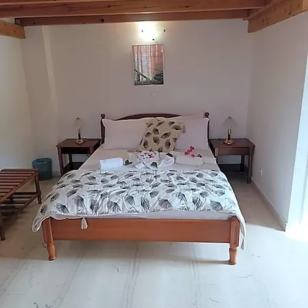 Ifestia 4*