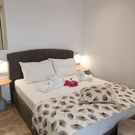 Ifestia Appart hôtel 4*