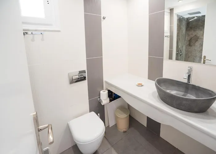 Ifestia Appart hôtel 4*